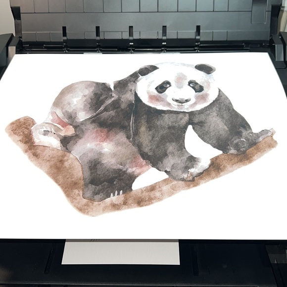 Watercolor Panda Portrait Wall Art Print Poster Unframed - Picture 13 of 16